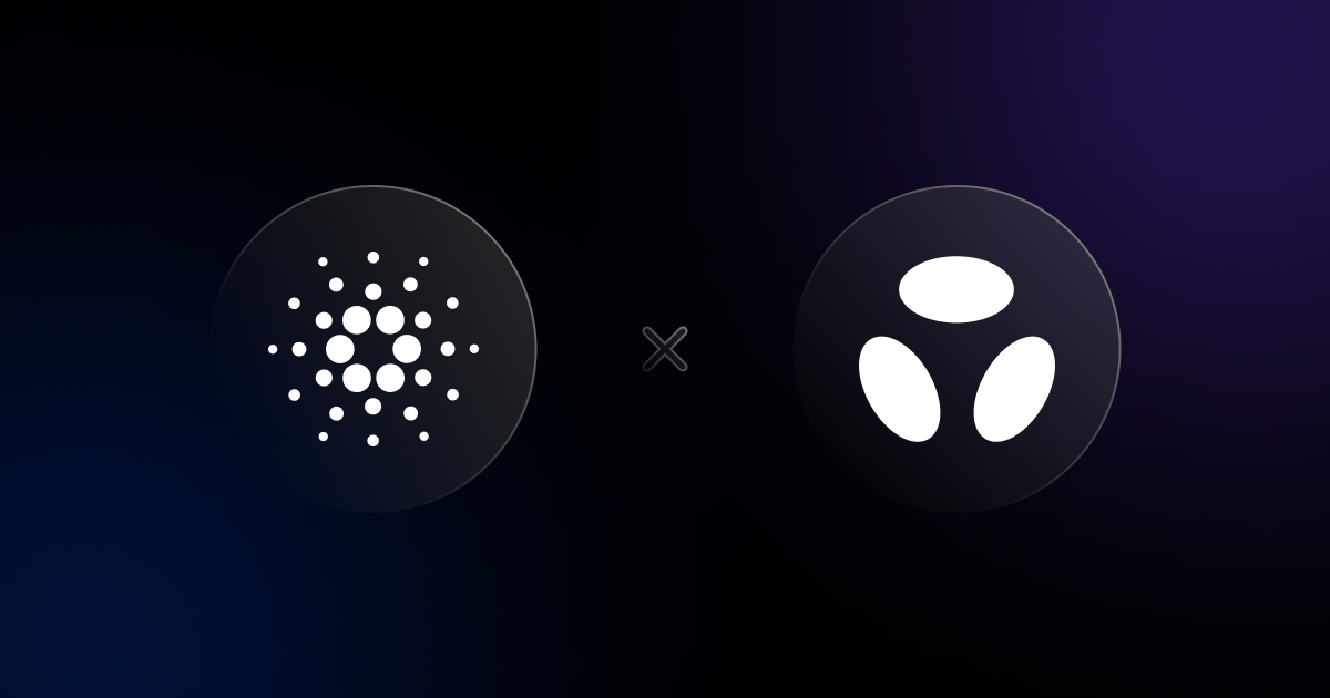 Native Stablecoin Infrastructure