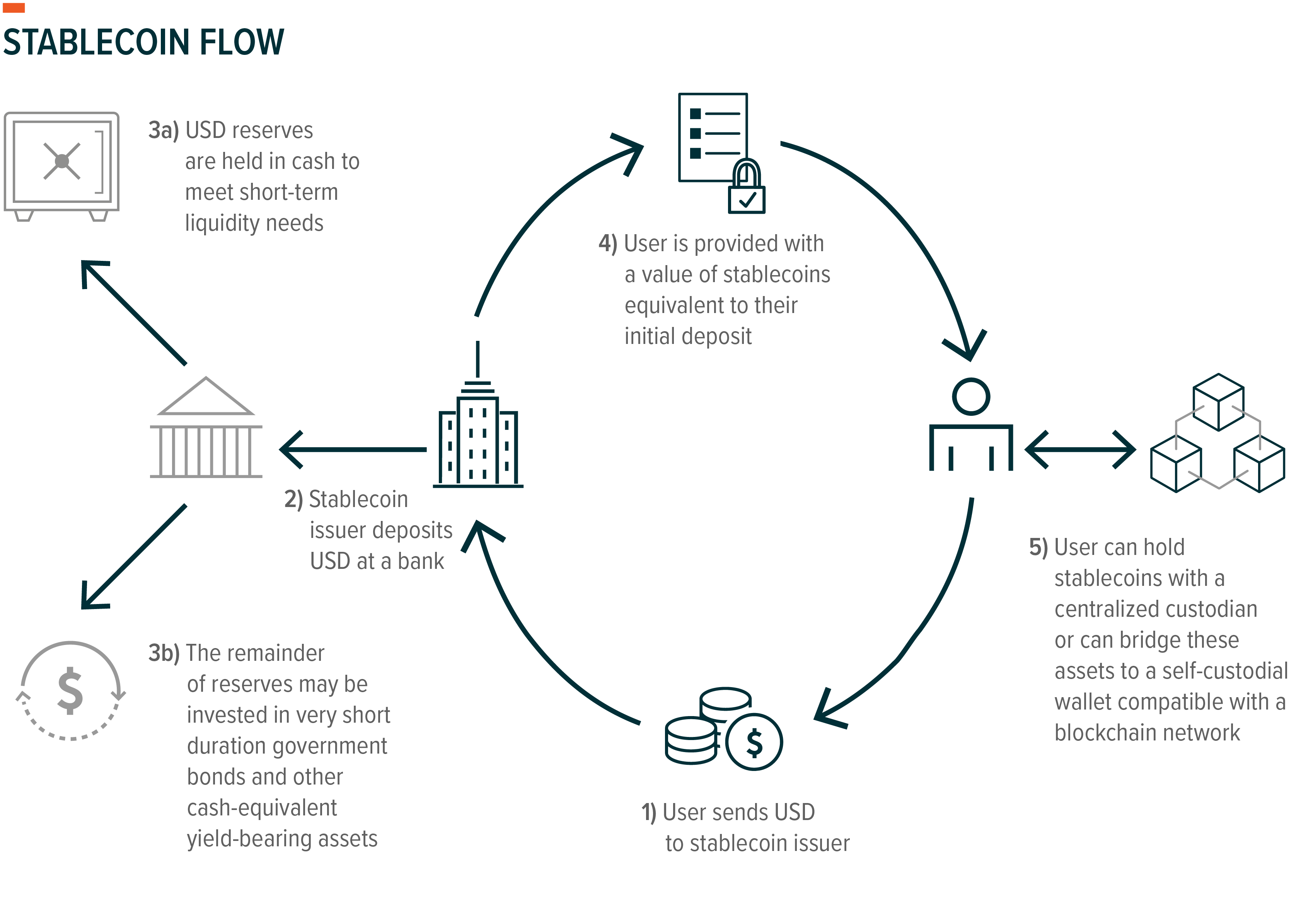 Native Stablecoin Analysis: Infrastructure Shifts and Strategy